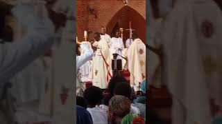 ordination sacerdotale au diocèse de Kinshasa [upl. by Einahpet]