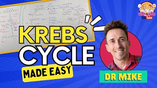 Krebs Cycle  Made Easy [upl. by Affrica]