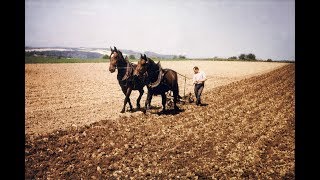 Doku historisch Bäuerlicher Alltag um 1950Muskelkraft und natürliche Energien [upl. by Anitsirt]