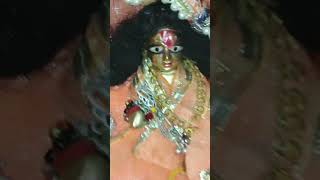 ❤ Shyam Chanda Hai Shyama Chakori❤ shortvideo sita happybirthdaysong [upl. by Akers]