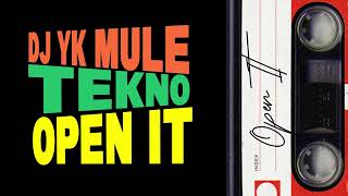 DJ YK Mule x Tekno  Open It [upl. by Ylle]