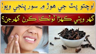 Home Remedies to Avoid Toothache [upl. by Laiceps351]