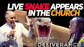 SHOCKING LIVE SNAKE IN THE CHURCH Slithers to Prophet  Ed Citronnelli [upl. by Eimmat]