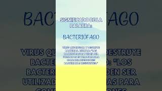 Significado de la palabra bacteriofago [upl. by Ecinnahs608]