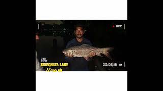 25 October 2024 BELEGGATALAKE CARPFUSHRUHI BIG FISH  FOLLOW THIS CHANNEL [upl. by Ebag]