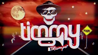 Timmy Trumpet  Oracle Live 2018 [upl. by Rockel207]