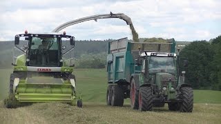 Claas Jaguar 860 At Work I ETA Vuillemin [upl. by Nobie205]