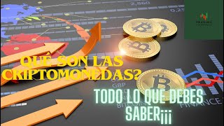 Qué son las Criptomonedas Todo lo que debes saber¡¡¡ [upl. by O'Connell]