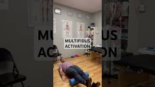 Multifidus Activation [upl. by Jefferson346]