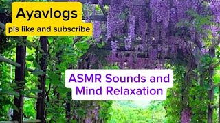 ASMR Sound and Mind Relaxation [upl. by Obnukotalo]