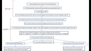 Angiographic 3 Dimensional Antegrade Puncture Technique ADAPT wiring  my best effort to explain it [upl. by Aradnahc605]