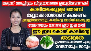 ഈ ഇല കൊണ്ട് കാലിന്റെ അടിയിൽ ഇങ്ങനെ ചെയ്താൽ ഏതു വേദനയും മാറും  kalinte adi vedana  Dr Juhi Das [upl. by Subak]