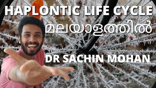 haplontic life cycle  malayalam  plant kingdom  class 11  plus one [upl. by Nnylahs]