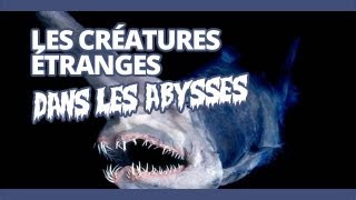 Top des créatures étranges quon trouve dans les abysses [upl. by Michaud]