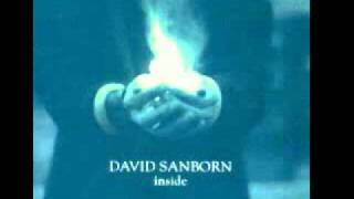 David Sanborn ft Cassandra Wilson  Day Dreaming [upl. by Carmella]