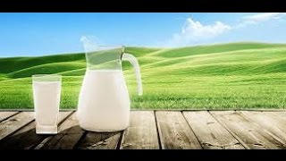 दूध पीने के फायदे क्या है  गर्म दूध पीना चाहिए  What are the benefits of drinking milk [upl. by O'Grady]