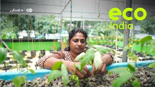 Eco India Can aquaponics be the answer to poisonfree fish and vegetables [upl. by Darice]