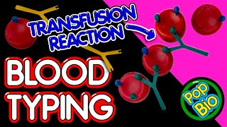 Blood Typing and Transfusion Reaction [upl. by Redliw582]