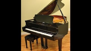 For Sale Petrof Model IV Grand Piano [upl. by Anilehs]