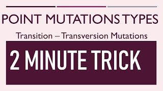 Types of Point Mutation II Transversion Transition  Neutral silent and missense mutation [upl. by Colston]