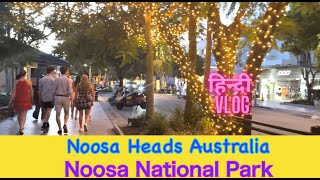 Noosa National Park  Noosa Heads Australia  Noosa national Park Coastal walk  Best Beach [upl. by Nodmac]