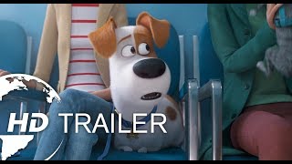 Husdjurens Hemliga Liv 2  Trailer 1 Sv tal  Universal Pictures International [upl. by Maud]