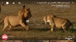 بث مباشر ناشيونال جيوغرافيك 🔴 [upl. by Tadio]