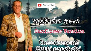 Hamuwanna Aye  Chandrasena Hettiarachchi  Sunflower [upl. by Anaes727]