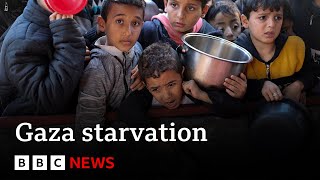 Evidence that Israel is using starvation as weapon of war in Gaza says UN  BBC News [upl. by Leisha948]