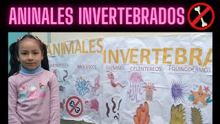 Clasificación de ANIMALES INVERTEBRADOS para niños [upl. by Williamsen967]