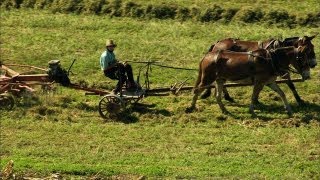 Pennsylvanias Amish Country [upl. by Abrahan]