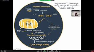 Polyamine metabolism in the regulation of T cell lineage fidelity and function by Dr Erika Pearce [upl. by Ainegue]