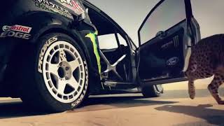 Ya lilli  remix  arabic song  dubai car stunt [upl. by Dow]