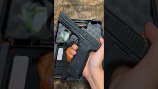 Best Budget 22 Magnum Pistol [upl. by Anitserp924]