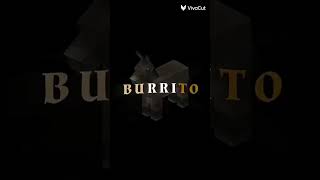 con mi burrito sabanero [upl. by Anerdna]