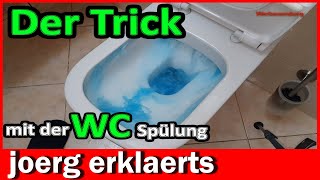 WC Reinigung Spülkasten Geberit Einwurfschacht Einbauanleitung Tutorial DIY [upl. by Stella]