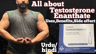 Testosterone Enanthate Uses  Side effects  Benefits UrduHindi [upl. by Rudwik171]