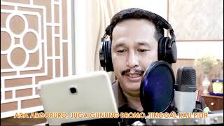 Lagu Kabupaten Probolinggo Istimewa [upl. by Kippie]