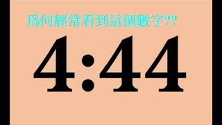 你常看到「444」或擁有這數字嗎？恭喜你！這組數字暗藏重大信息 [upl. by Brandt103]