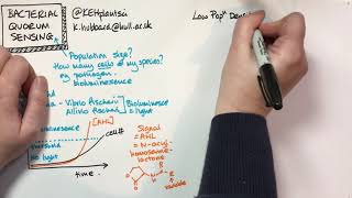 Bonnie Bassler Princeton Part 1 Bacterial Communication via Quorum Sensing [upl. by Yerocaj799]