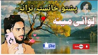 lewany meena Pashto New Nazam Naat Nazmona Tarany songs Nasheed [upl. by Eilyw725]