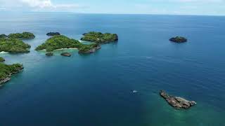 Taklong Marine Reserve off Guimaras Island [upl. by Inuat312]