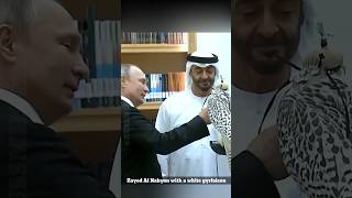 President Putin in UAE russia uae putin sheikhzayed usa mbs shorts ytshorts russmika24 [upl. by Nahttam783]