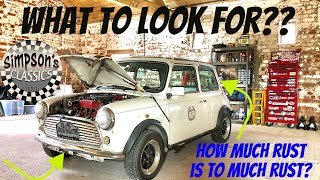 WHAT TO LOOK FOR  When Buying A CLASSIC MINI [upl. by Znerol]