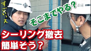 【神業シーリング撤去】目に見えないところまで徹底的にこだわる職人技を披露！怠ったら家が腐る！住宅の手抜き工事で一番多いシーリング・防水工事を解説 [upl. by Angela]