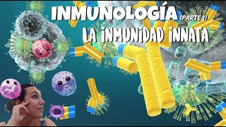 Inmunología Parte 1  La inmunidad innata 2º de bachiller [upl. by Rramo832]