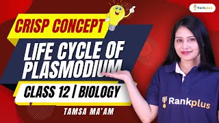 CBSE Class 12 Biology  Life Cycle of Plasmodium  Biology by Tamsa Mam  Rankplus [upl. by Leacock]