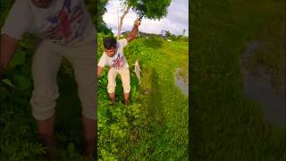 Amazing Fishing 🎣status like shortvideo [upl. by Bartholomeo106]