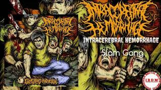 INTRACEREBRAL HEMORRHAGE  Slam Gang FULL [upl. by Urbana]