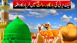 Ek Hirni ki Muhammad SAWW se Guftgu  Deer Talking to Prophet Muhammad PBUH Lifeinislam [upl. by Agbogla871]